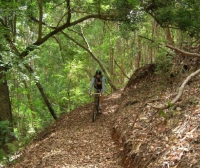 Makawao-Forest-Trail-Girl-300x252